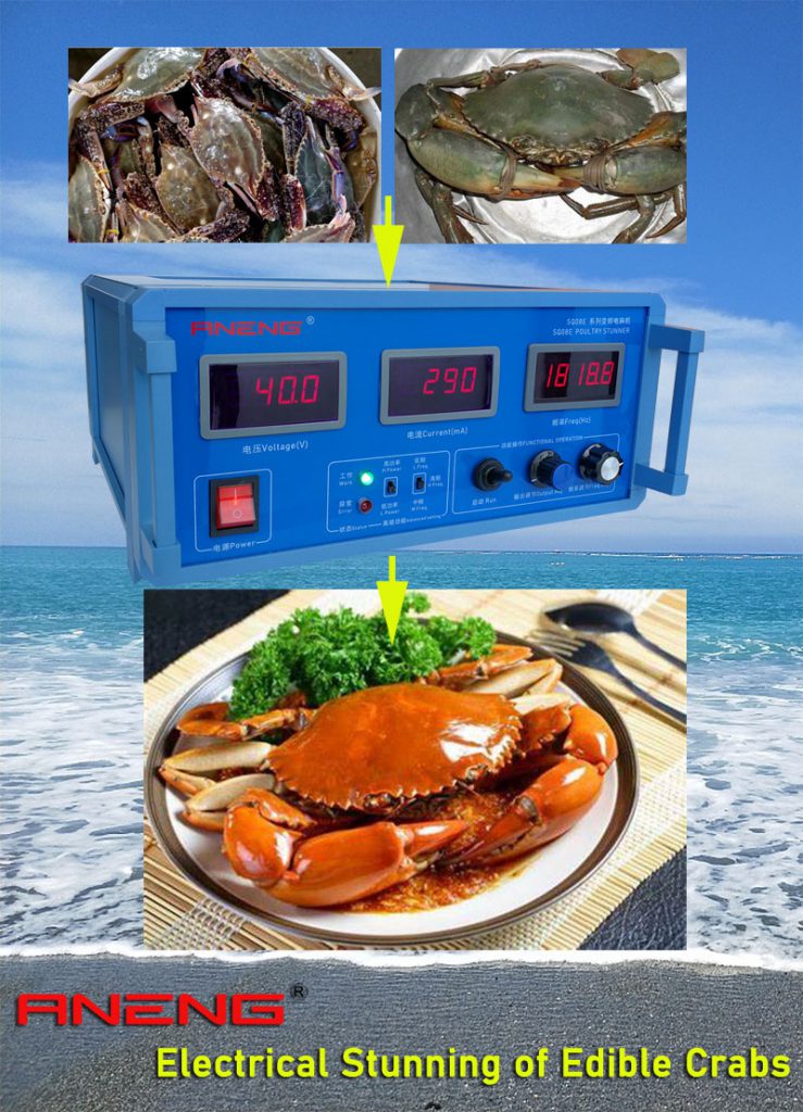 Electrical Stunning of Edible Crabs